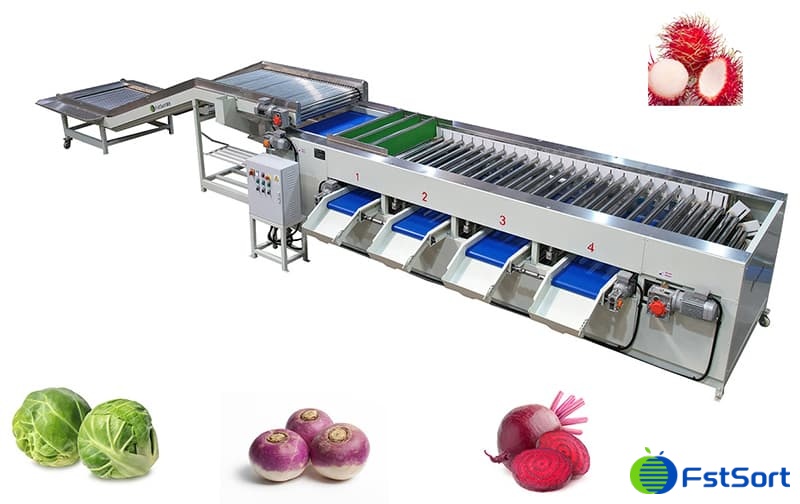 images/1659082543671Rambutan sorter.jpg